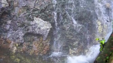 Mini Şelale ve yemyeşil ağaçlarla Tropikal Sıcak Bahar 'da Yavaş Nehir Akışı