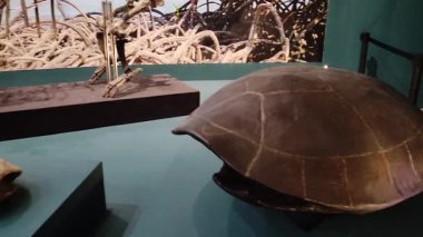 Jakarta, 18 Şubat 2025: Antik Hippo Fosil İskelet Hexaprotodon Sivalensis Sergisi Ulusal Müze Sergisi, Merkez Jakarta, Endonezya