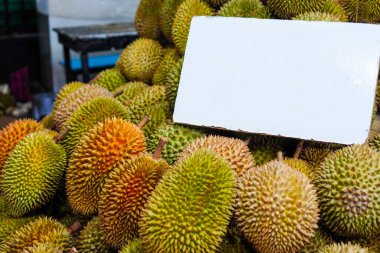 Taze Durian meyveleri, yiyecek ve meyve temalarında reklam veya işaret amaçlı kullanılabilecek boş beyaz bir tabela ile düzenlenmiştir.