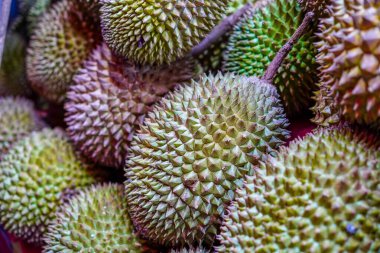 Taze toplanmış Durian meyvelerini yakından görmek karakteristik dikenli dış katmanlarını ve canlı dokusunu gözler önüne seriyor.