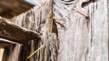 Eski ahşap kaplamalı, kırsal dokular ve paslı çivilerin detaylı bir çekimi. Eski veya hasarlı materyal görselleri gerektiren projeler için uygundur..
