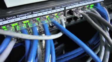 Etkin Veri Portlarına Parlayan Işıklarla Bağlanan Ağ Kabloları