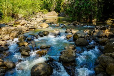 Nehir, yemyeşil bir ormanın ortasında, Kayalar Arasında Akıyor.