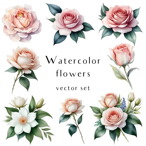 İzole bir zemin üzerinde suluboya çiçeklerden oluşan bir vektör seti. Düğün davetiyeleri, tebrik kartları, desenler ve daha fazlası için ideal.