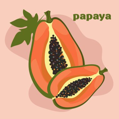 Egzotik tropikal meyve papaya 'nın vektör düz çizimi.