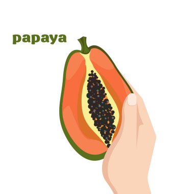 Bir kadının elindeki egzotik papaya meyvesinin yarısının vektör çizimi..