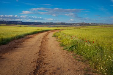 Tarlaların havadan görünüşü. Otoyol arama yolları ve çizgilerinin İHA görüntüsü.