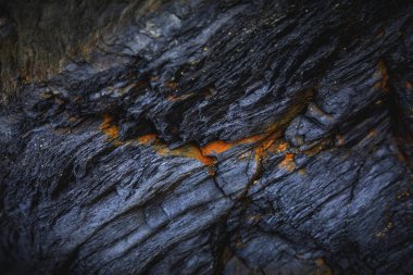 Kayalardaki su erozyonu, dokular ve desenler Asturian plajlarındaki taşlarda oluşmuş. Kuzey İspanya, Asturias 'taki Campiecho plajı..