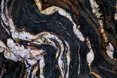 Kayalardaki su erozyonu, dokular ve desenler Asturian plajlarındaki taşlarda oluşmuş. Kuzey İspanya, Asturias 'taki Campiecho plajı..