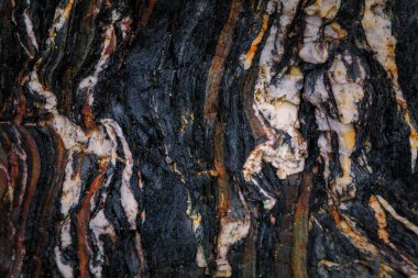 Kayalardaki su erozyonu, dokular ve desenler Asturian plajlarındaki taşlarda oluşmuş. Kuzey İspanya, Asturias 'taki Campiecho plajı..