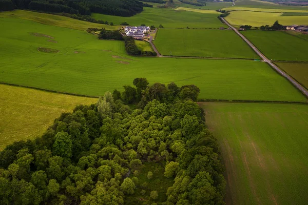 Swamp and trees on Scottish Highlands over drone with aerial views.