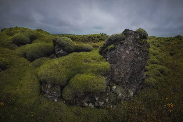Izland Déli Partjai Mentén Található Eldhraun Legnagyobb Lávafolyam Világon 565 — Stock Fotó