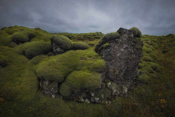 Situado Longo Costa Sul Islândia Eldhraun Maior Fluxo Lava Mundo — Fotografia de Stock