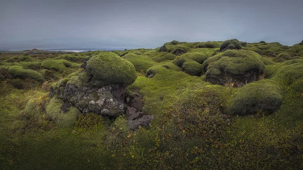 stock image Situated along Icelands south coast, Eldhraun is the largest lava flow in the world. Spanning 565 square kilometres, the site is of both historic and geological importance. 