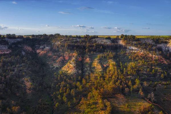 Toledo 'da tarlalar, günbatımında ağaçlar, Castilla la la Mancha' da patika, yamaçlar ve dağlar.. 