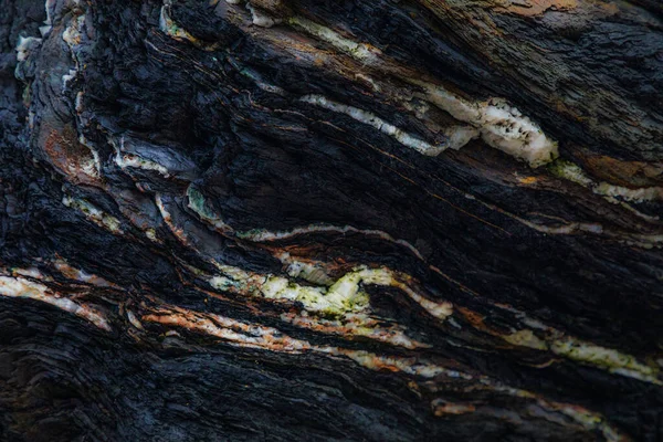 Erosie Van Water Rotsen Texturen Patronen Gegenereerd Stenen Van Asturische — Stockfoto