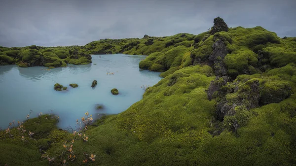 Situado Longo Costa Sul Islândia Eldhraun Maior Fluxo Lava Mundo — Fotografia de Stock