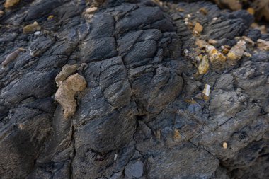 The erosion of water on the rocks, textures and patterns generated on the stones of the beach Ibiza island.