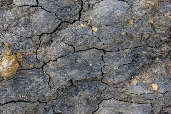 The erosion of water on the rocks, textures and patterns generated on the stones of the beach Ibiza island.