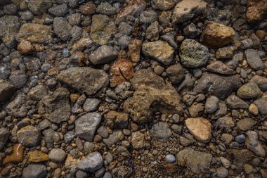 The erosion of water on the rocks, textures and patterns generated on the stones of the beach Ibiza island.