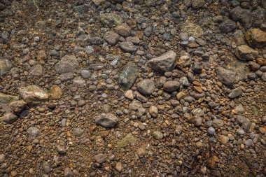 The erosion of water on the rocks, textures and patterns generated on the stones of the beach Ibiza island.