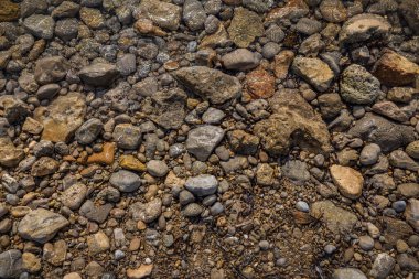 The erosion of water on the rocks, textures and patterns generated on the stones of the beach Ibiza island.