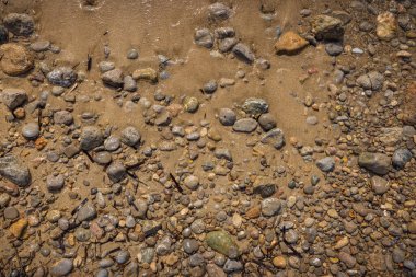 The erosion of water on the rocks, textures and patterns generated on the stones of the beach Ibiza island.