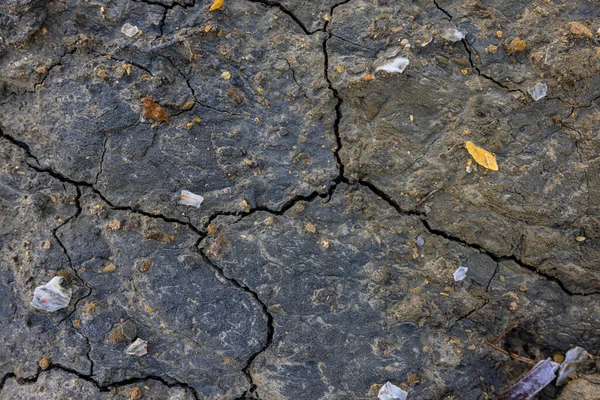 The erosion of water on the rocks, textures and patterns generated on the stones of the beach Ibiza island.