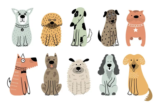 かわいい犬のコレクション 白い背景に隔離された10匹のペットのセット カラフルな犬と手描きベクトルイラスト — ストックベクタ