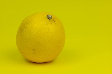 Kopyalama alanı olan sarı arkaplan üzerine tek limon 