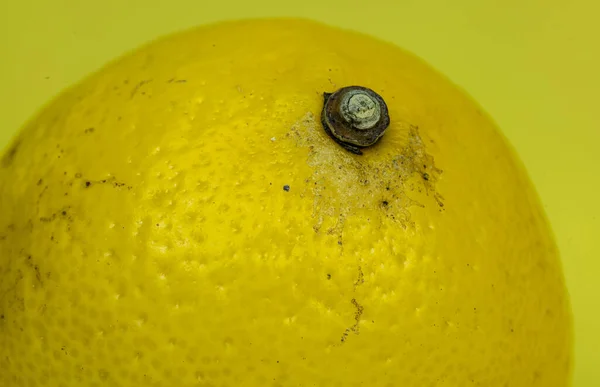 Jeden Citron Žlutém Pozadí Kopírovacím Prostorem — Stock fotografie