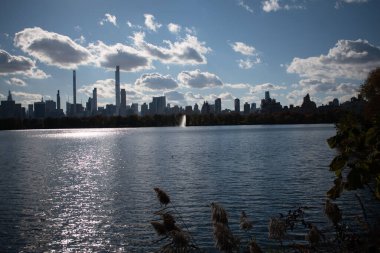 Çiçek Merdivenleri Pumpinkon açık havada