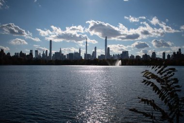 Çiçek Merdivenleri Pumpinkon açık havada