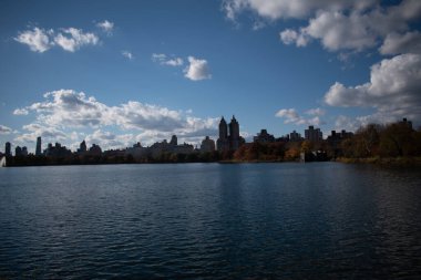 Çiçek Merdivenleri Pumpinkon açık havada