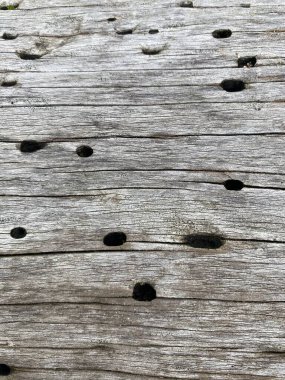 ahşap doku, ahşap ve yıpranmış arka plan.