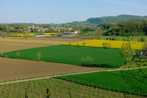 Granja Paisaje Rural Campiña Italiana Con Campos Agrícolas Verdes Amarillos —  Fotos de Stock