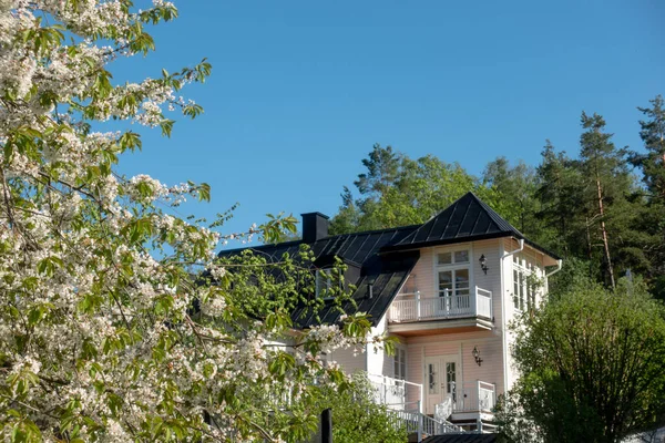Beautiful Swedish residential single family home in spring with fruit tree blossoming matching the color of the house