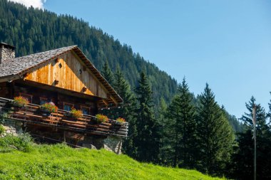 İtalyan dolomit dağındaki Anterselva Vadisi 'ndeki Bergeralm dağ kulübesi yürüyüş ve yürüyüş için turizm beldesi.