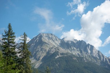 Mavi gökyüzünün altında ön planda çam ağaçları olan dağlık tepeler. İtalyan Güney Tyrol 'daki Dolomite dağlarından oluşan Rieserferner grubundan Hochgall