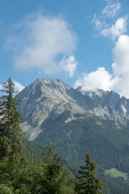 Mavi gökyüzünün altında ön planda çam ağaçları olan dağlık tepeler. İtalyan Güney Tyrol 'daki Dolomite dağlarından oluşan Rieserferner grubundan Hochgall
