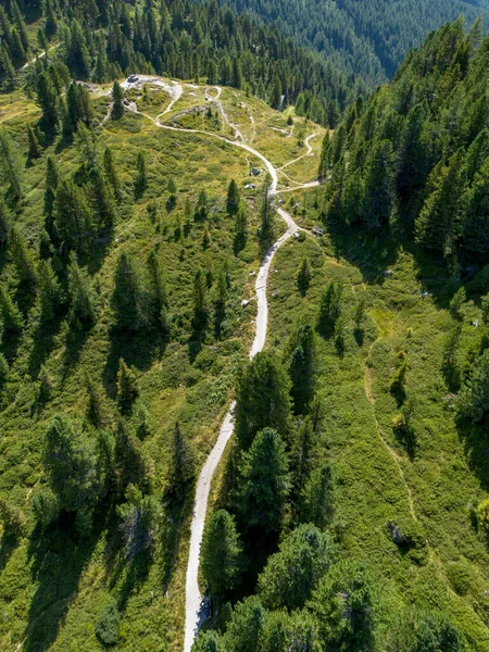 Scenic aerial view of hiking trail leading toward alpine mountains through green pine forest