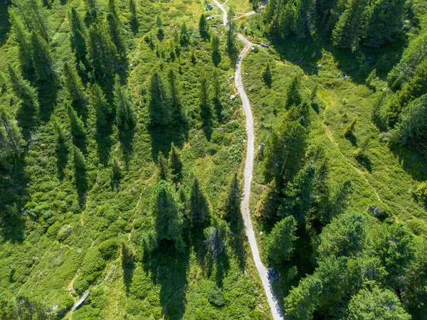 Aerial view of hiking and trekking trail running through green vegetation and forest landscape from above for healthy lifestyle and recreation concept