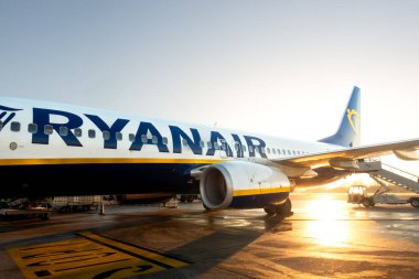 Treviso, İtalya - 30 Aralık 2024: Ryanair uçağı sabah yere indi ve güneş ışığı ıslak asfalta yansıdı