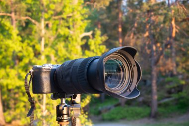 Nacka, İsveç - 28 Mayıs 2025: Sony A7C II kamera ile Sigma 28-105mm f 2.8 DG DN lens ile bir ormanda profesyonel veya hobi manzara fotoğrafçılığı için bir tripod üzerinde