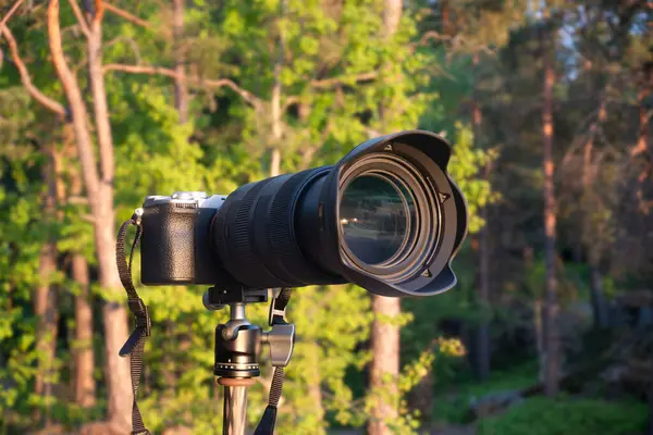 Ormandaki bir tripodun üzerinde yakınlaştırıcı mercekli profesyonel kamera profesyonel ya da hobi fotoğrafçılık konsepti için günbatımı manzarasına işaret ediyor.
