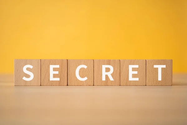 Blok Kayu Dengan Teks Konsep Secret — Stok Foto