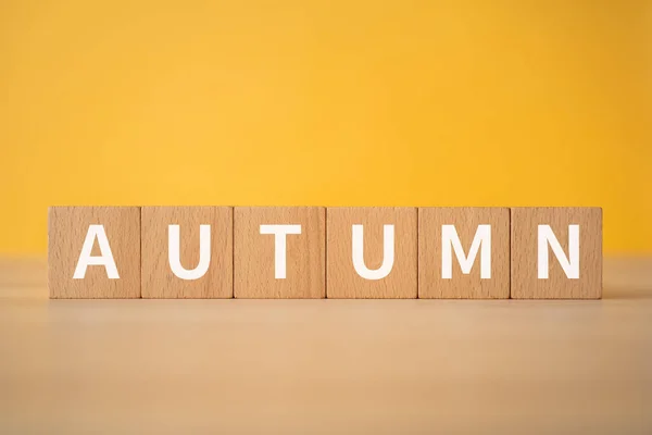 Wooden Blocks Autumn Text Concept — Stock Photo, Image