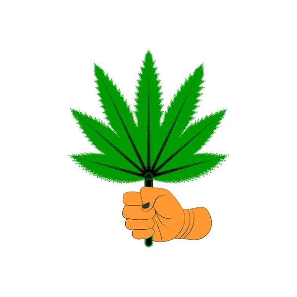 Mano Fuerte Sosteniendo Una Hoja Cannabis Ilustración Una Mano Fuerte — Vector de stock