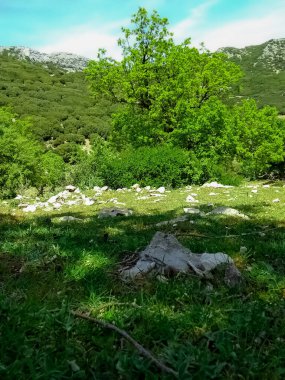 Jebel Kelti, yaklaşık 1926 metre yüksekliğiyle Rif bölgesinin en yüksek rakımlarından biridir, Chefchaouen Fas 'ta Tetouan' ın güneyindedir ve çevresindeki bölgenin panoramik manzarasını sunar..