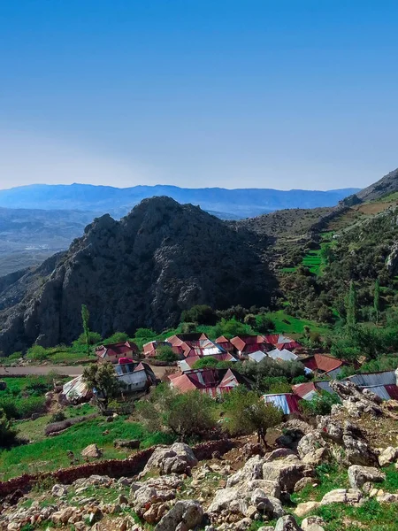 A group of houses in a rural area